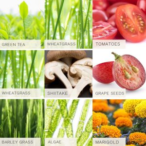 shopproducts-timeblock-ingredients